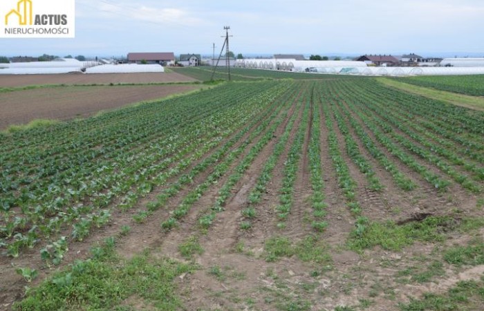 Tropiszów, Igołomia-Wawrzeńczyce, Działka na sprzedaż