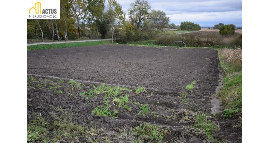 krakowski, Igołomia-Wawrzeńczyce, Wawrzeńczyce, Działka 10,75 ara 30 min od Krakowa