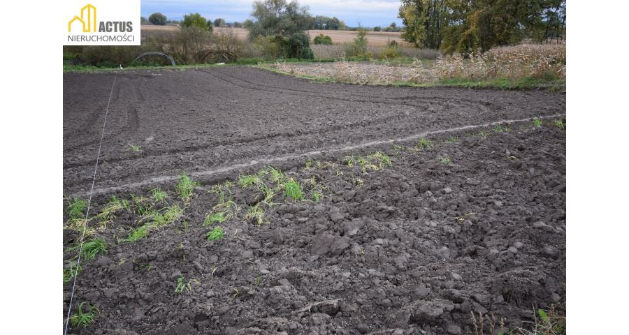 krakowski, Igołomia-Wawrzeńczyce, Wawrzeńczyce, Działka 10,75 ara 30 min od Krakowa