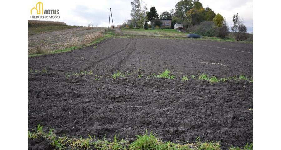 krakowski, Igołomia-Wawrzeńczyce, Wawrzeńczyce, Działka 10,75 ara 30 min od Krakowa