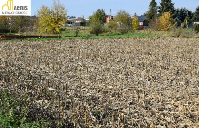 Igołomia, Igołomia-Wawrzeńczyce, Działka na sprzedaż