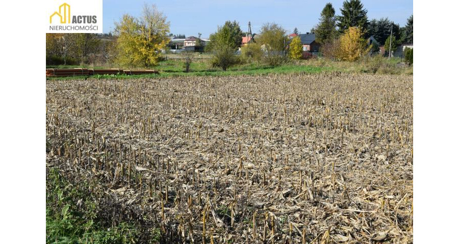 krakowski, Igołomia-Wawrzeńczyce, Igołomia, Igołomia 27 ar