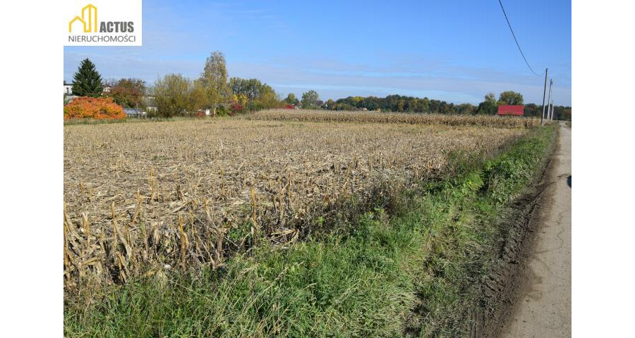 krakowski, Igołomia-Wawrzeńczyce, Igołomia, Igołomia 27 ar