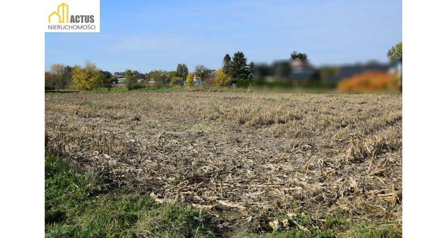 krakowski, Igołomia-Wawrzeńczyce, Igołomia, Igołomia 27 ar