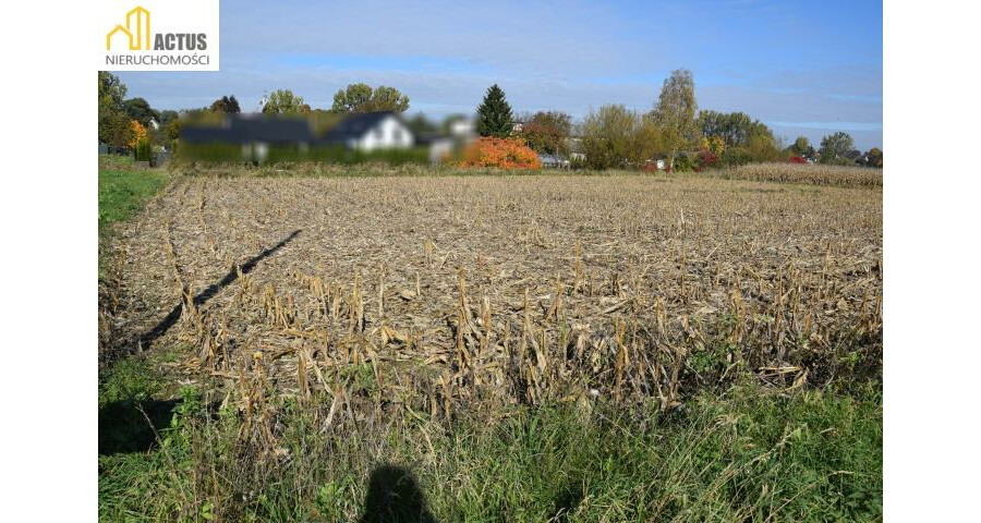 krakowski, Igołomia-Wawrzeńczyce, Igołomia, Igołomia 27 ar