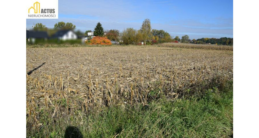 krakowski, Igołomia-Wawrzeńczyce, Igołomia, Igołomia 27 ar