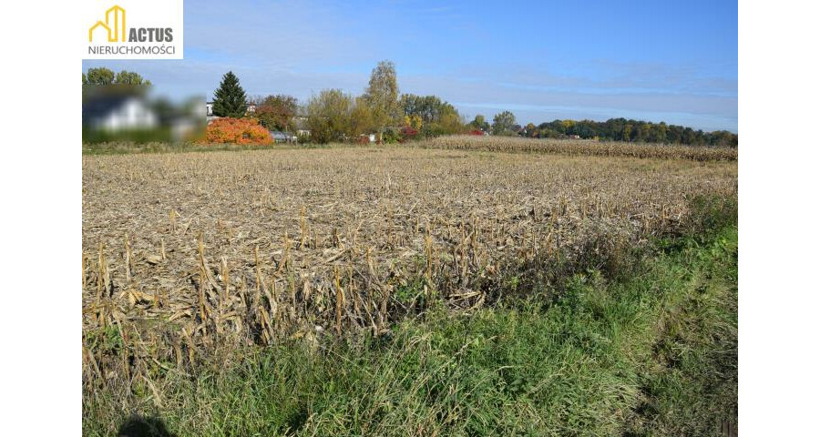 krakowski, Igołomia-Wawrzeńczyce, Igołomia, Igołomia 27 ar