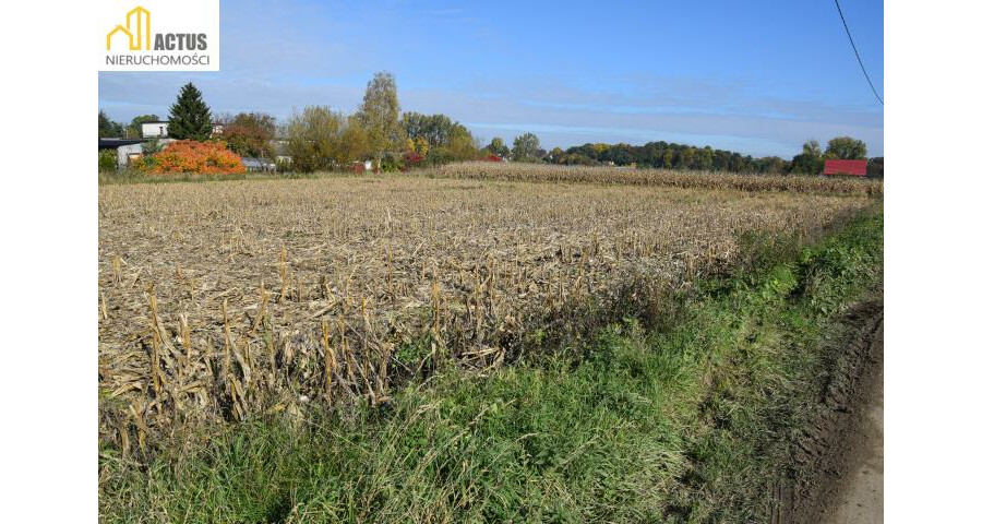 krakowski, Igołomia-Wawrzeńczyce, Igołomia, Igołomia 27 ar