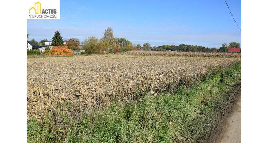 krakowski, Igołomia-Wawrzeńczyce, Igołomia, Igołomia 27 ar