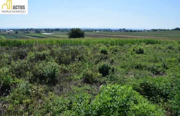 Stręgoborzyce, Igołomia-Wawrzeńczyce, Działka na sprzedaż