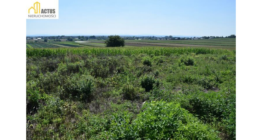 krakowski, Igołomia-Wawrzeńczyce, Stręgoborzyce, Działka 52 ar z widokiem na Tatry