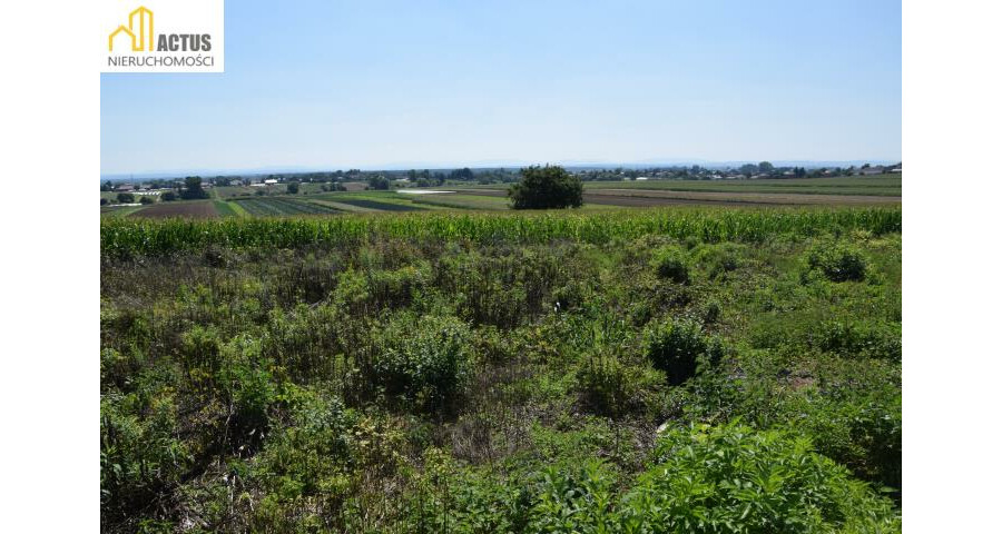 krakowski, Igołomia-Wawrzeńczyce, Stręgoborzyce, Działka 52 ar z widokiem na Tatry