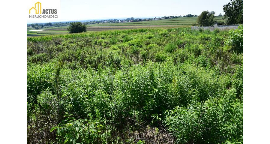 krakowski, Igołomia-Wawrzeńczyce, Stręgoborzyce, Działka 52 ar z widokiem na Tatry