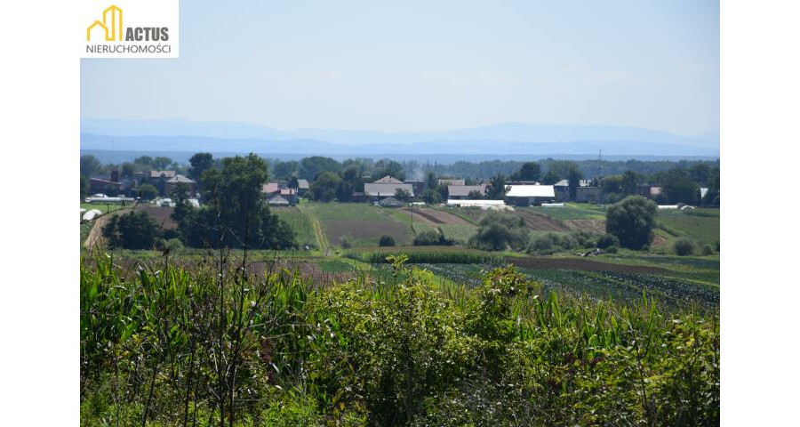 krakowski, Igołomia-Wawrzeńczyce, Stręgoborzyce, Działka 52 ar z widokiem na Tatry
