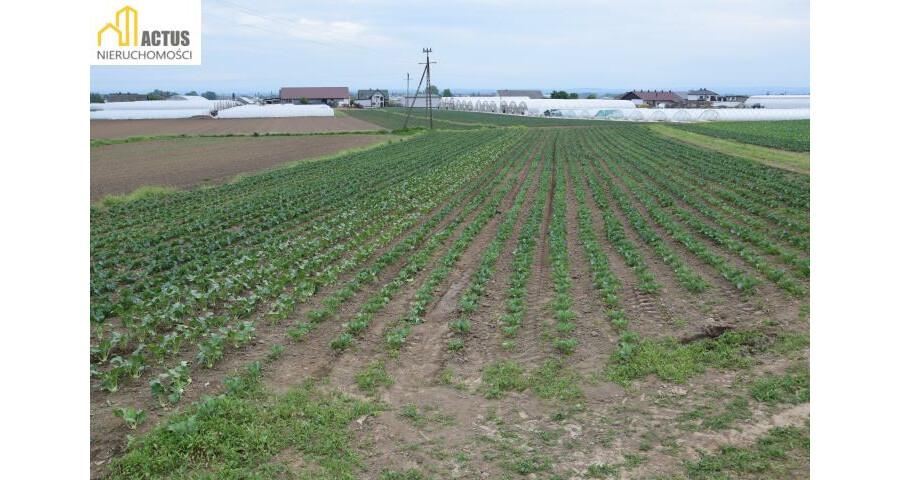 krakowski, Igołomia-Wawrzeńczyce, Tropiszów, Działka 12 ar TROPISZÓW blisko do Krakowa