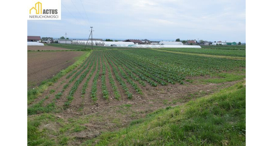 krakowski, Igołomia-Wawrzeńczyce, Tropiszów, Działka 12 ar TROPISZÓW blisko do Krakowa
