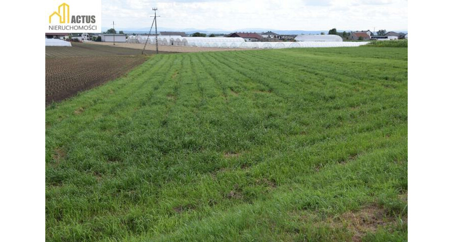 krakowski, Igołomia-Wawrzeńczyce, Tropiszów, Działka 12 ar TROPISZÓW blisko do Krakowa