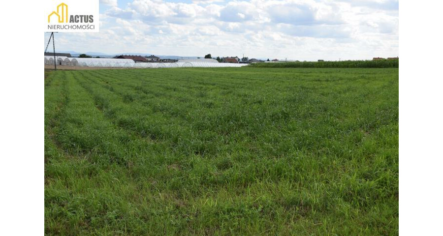 krakowski, Igołomia-Wawrzeńczyce, Tropiszów, Działka 12 ar TROPISZÓW blisko do Krakowa