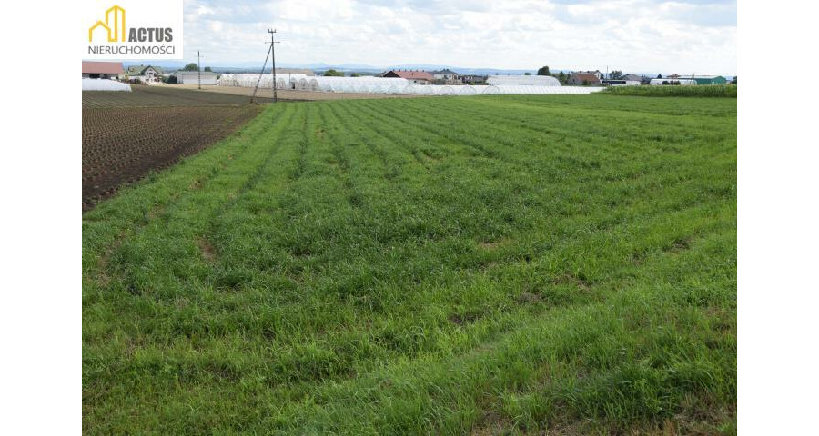 krakowski, Igołomia-Wawrzeńczyce, Tropiszów, Działka 12 ar TROPISZÓW blisko do Krakowa