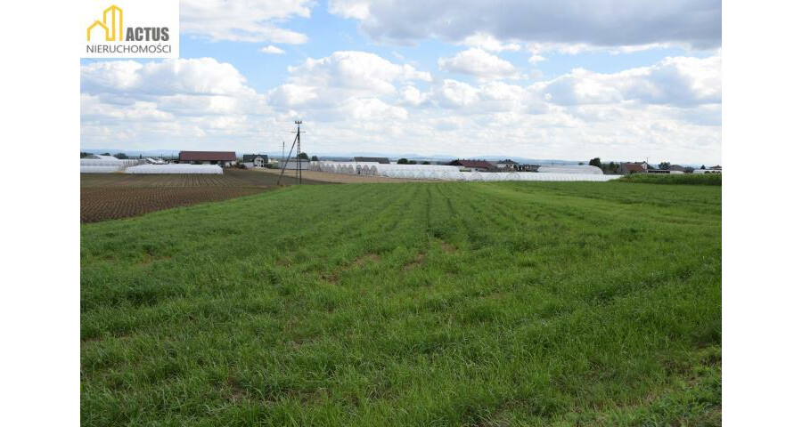 krakowski, Igołomia-Wawrzeńczyce, Tropiszów, Działka 12 ar TROPISZÓW blisko do Krakowa