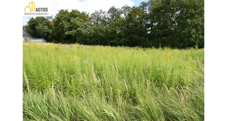 krakowski, Igołomia-Wawrzeńczyce, Tropiszów, Działka budowlano-usługowa 700 m² | Tropiszów |