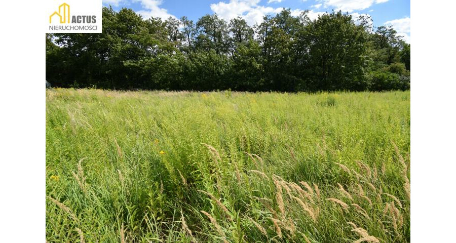 krakowski, Igołomia-Wawrzeńczyce, Tropiszów, Działka budowlano-usługowa 700 m² | Tropiszów |