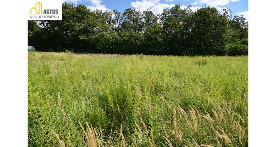 krakowski, Igołomia-Wawrzeńczyce, Tropiszów, Działka budowlano-usługowa 700 m² | Tropiszów |