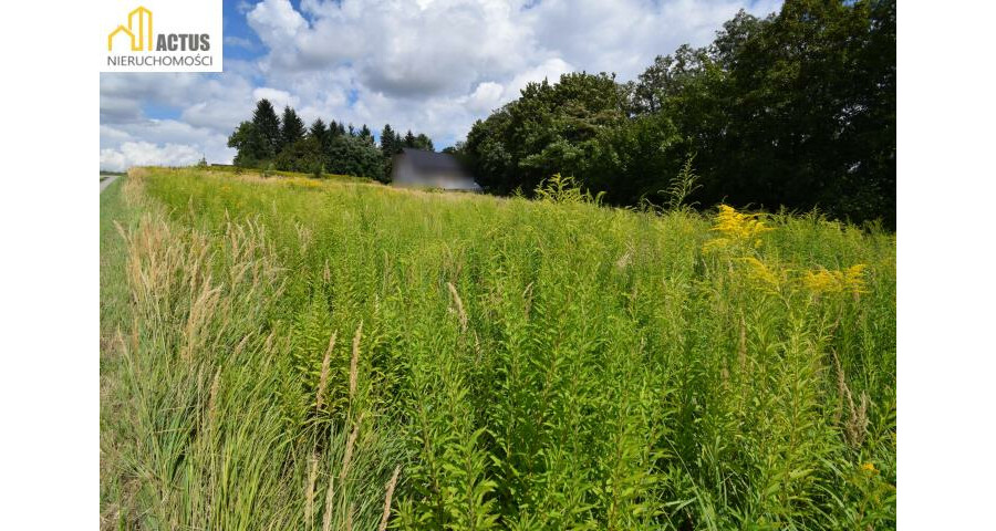krakowski, Igołomia-Wawrzeńczyce, Tropiszów, Działka budowlano-usługowa 700 m² | Tropiszów |