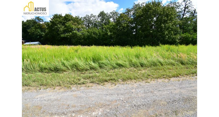 krakowski, Igołomia-Wawrzeńczyce, Tropiszów, Działka budowlano-usługowa 700 m² | Tropiszów |