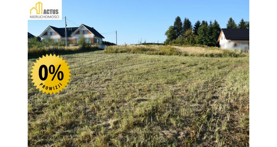 krakowski, Igołomia-Wawrzeńczyce, Tropiszów, Działka budowlano-usługowa 700 m² | Tropiszów |
