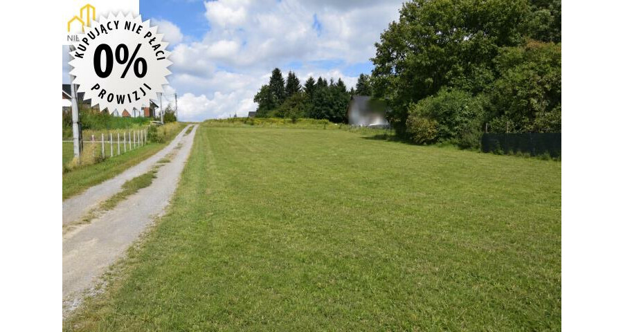 krakowski, Igołomia-Wawrzeńczyce, Tropiszów, Działka budowlano-usługowa 800 m² | Tropiszów |