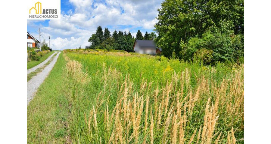 krakowski, Igołomia-Wawrzeńczyce, Tropiszów, Działka budowlano-usługowa 800 m² | Tropiszów |
