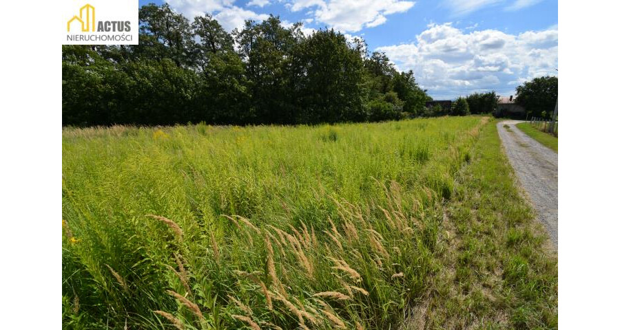krakowski, Igołomia-Wawrzeńczyce, Tropiszów, Działka budowlano-usługowa 800 m² | Tropiszów |