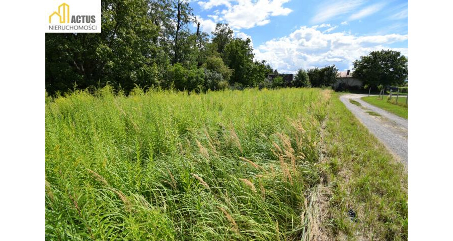 krakowski, Igołomia-Wawrzeńczyce, Tropiszów, Działka budowlano-usługowa 800 m² | Tropiszów |
