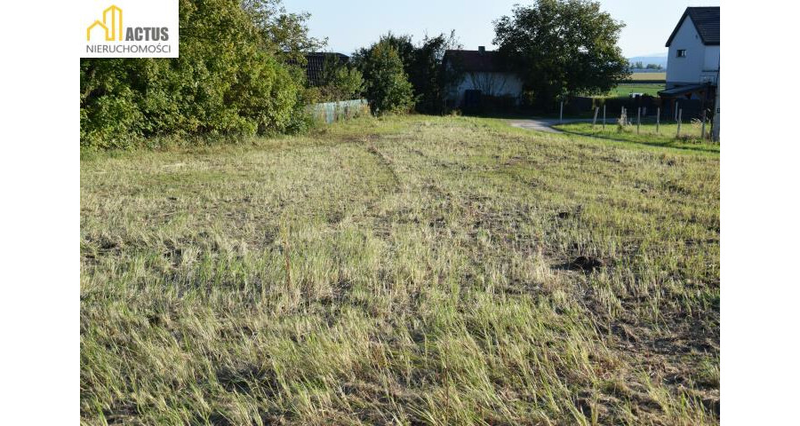 krakowski, Igołomia-Wawrzeńczyce, Tropiszów, Działka budowlano-usługowa 800 m² | Tropiszów |
