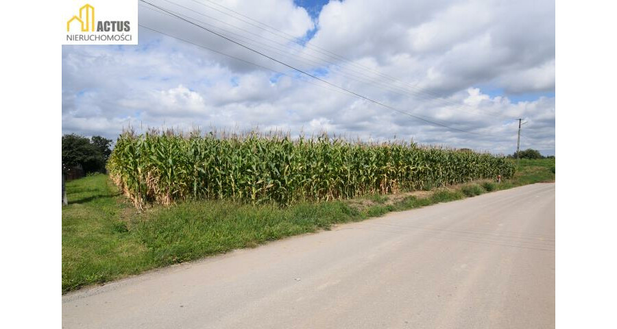 krakowski, Igołomia-Wawrzeńczyce, Żydów, DZIAŁKA BUDOWLANA 12 ARÓW – SPOKOJNA LOKALIZACJA
