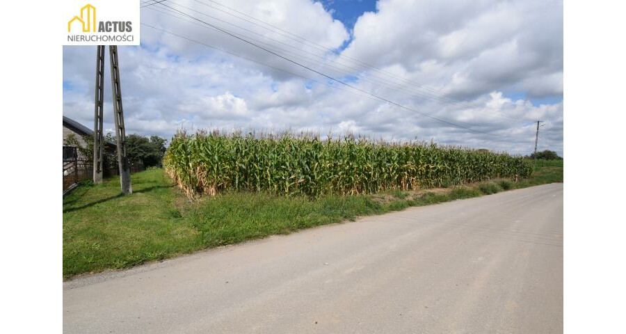 krakowski, Igołomia-Wawrzeńczyce, Żydów, DZIAŁKA BUDOWLANA 12 ARÓW – SPOKOJNA LOKALIZACJA