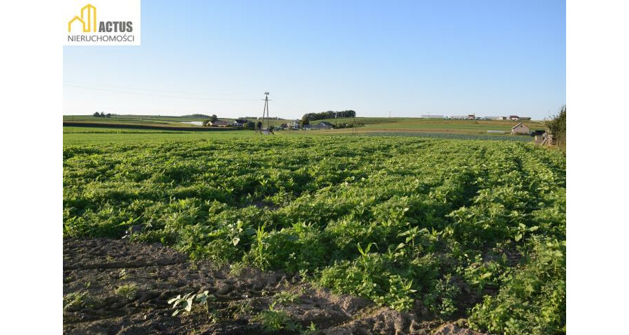 krakowski, Igołomia-Wawrzeńczyce, Tropiszów, DZIAŁKA BUDOWLANO-USŁUGOWA 1,0618 HA – TROPISZÓW |