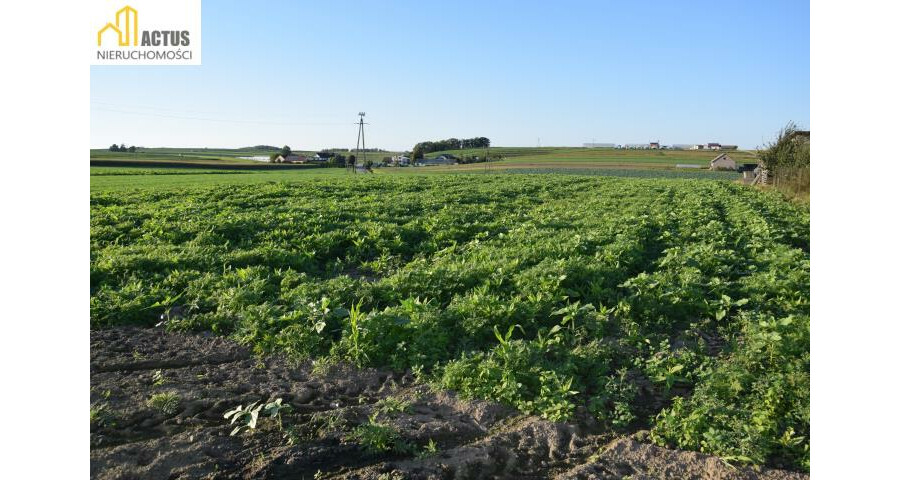 krakowski, Igołomia-Wawrzeńczyce, Tropiszów, DZIAŁKA BUDOWLANO-USŁUGOWA 1,0618 HA – TROPISZÓW |