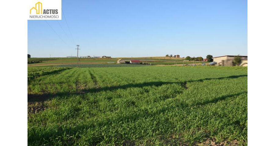 krakowski, Igołomia-Wawrzeńczyce, Tropiszów, DZIAŁKA BUDOWLANO-USŁUGOWA 1,0618 HA – TROPISZÓW |
